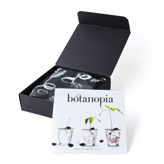 Packaging ouvert de notre coupelle de germination - Botanopia
