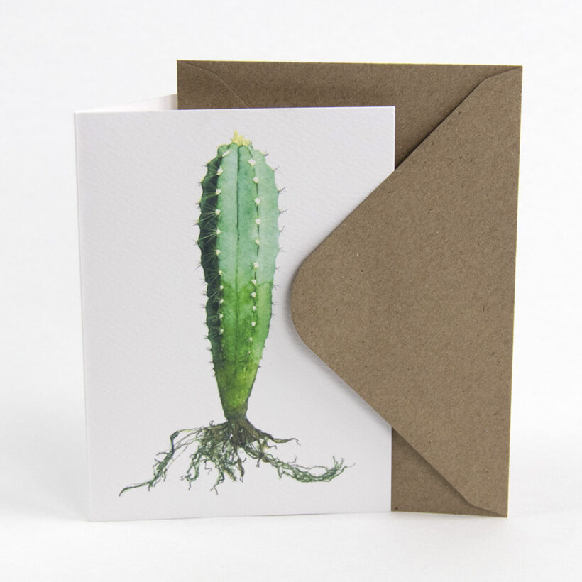 Carte de vœux cactus (Pilosocereus) avec enveloppe - Botanopia