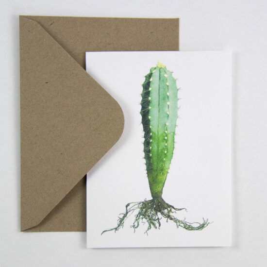Carte de vœux cactus (Pilosocereus) avec enveloppe Carte de vœux Aloès tacheté avec enveloppe - Botanopia