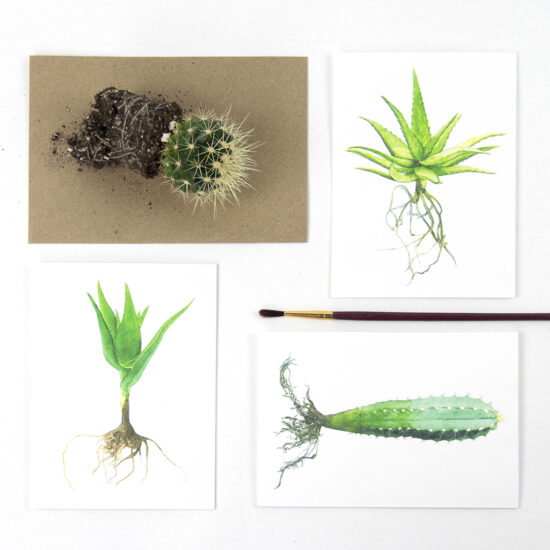 Cartes de voeux cactus - Botanopia