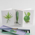 Selection of illustrated plant postcards. Photo