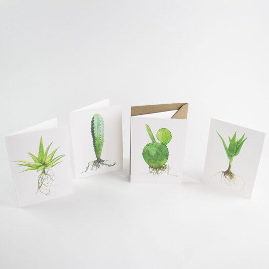 Auswahl an illustrierten Pflanzenpostkarten. Foto