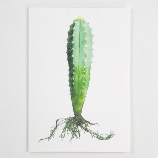 Carte de vœux cactus (Pilosocereus) avec enveloppe Carte de vœux Aloès tacheté avec enveloppe - Botanopia