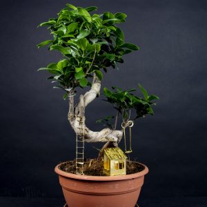 Mini cabane mignonne plantes et arbres en laiton décorative - Botanopia