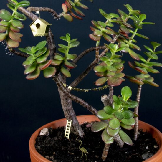 Mini nichoir mignon plantes et arbres en laiton décorative - Botanopia