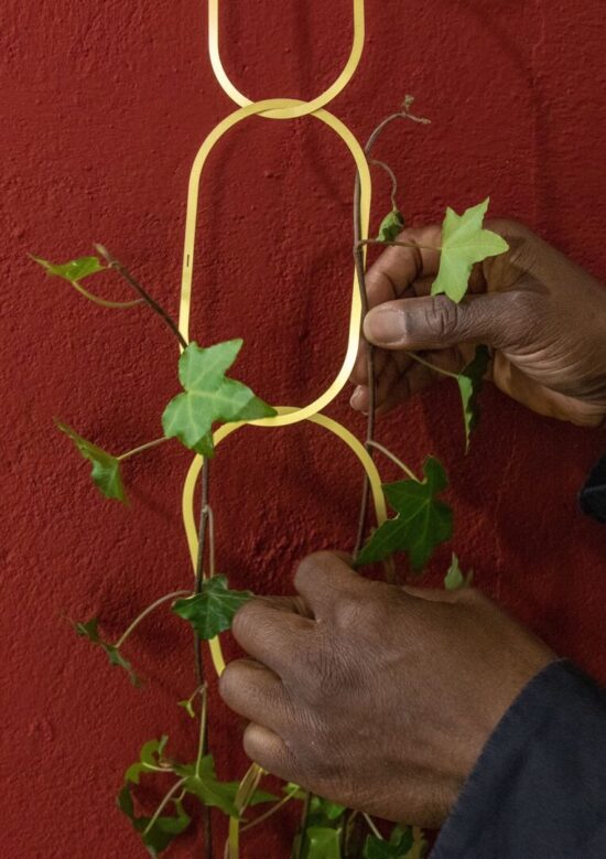 Treille, trellis support chaîne design moderne en laiton pour plantes grimpantes contre mur lierre - Botanopia