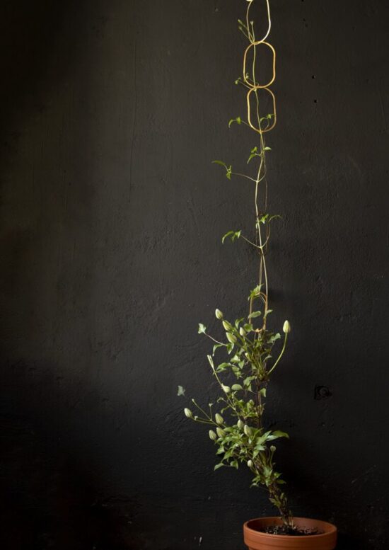 Treille, trellis support chaîne design moderne en laiton pour plantes grimpantes contre mur lierre - Botanopia