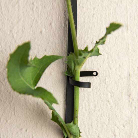 Black Brass Chain - Plant Support for climbing plants