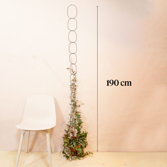 Modern stijlvol vormgegeven Zwarte messing klimplantensteun ketting van 190cm.  Fotografie voor ratio van product. Met klimplant op een zalmroze muur en stoel.