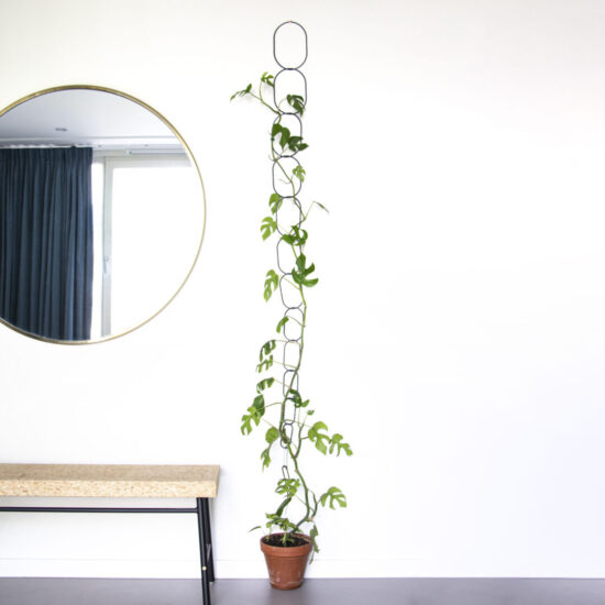Modern stijlvol vormgegeven Zwarte messing klimplantensteun ketting van 190cm.  Intierieurfotografie met Monstera plant op een witte muur met grote ronde spiegel en industriële bankje van staal en geperst hout