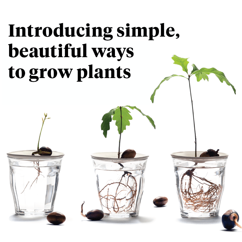 Introducing simple, beautiful ways to grow plants. Botanopia Propagation & Germination plates Mobile