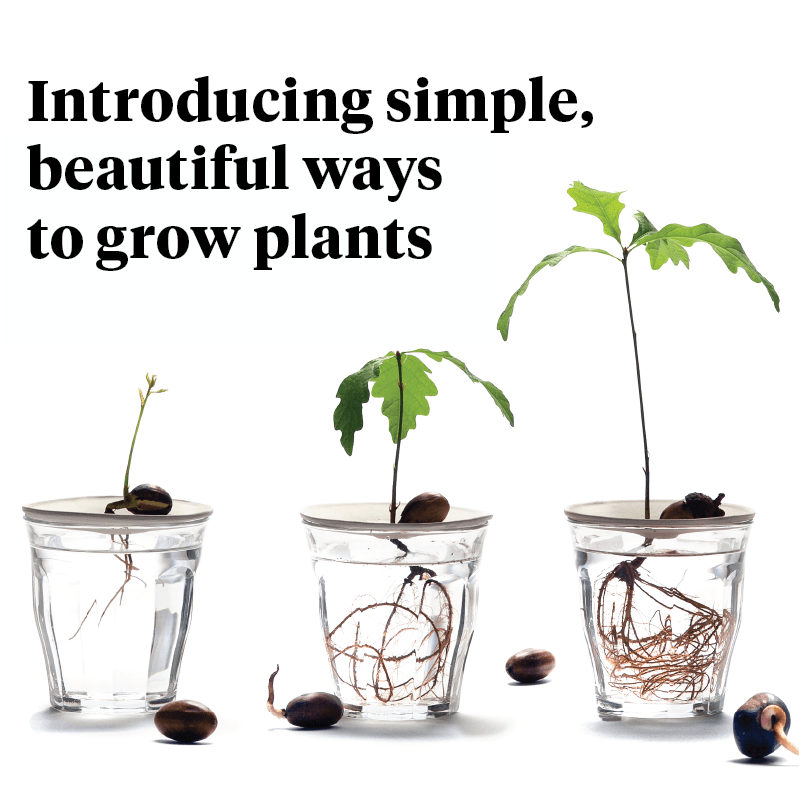 Plant products for plant people Elevate your plant life Botanopia