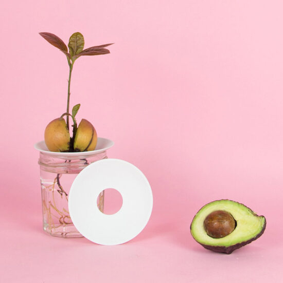 Finally succeed at growing your own avocado pit with our porcelain germination plate, that fits on any glass.