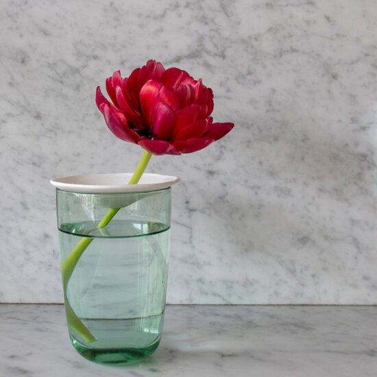 Une seule tulipe vole la vedette lorsqu'elle est présentée sur notre coupelle de germination en porcelaine. Le moyen idéal de soutenir une fleur à la tige trop courte.