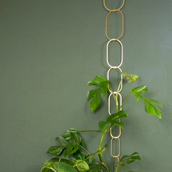 Botanopia gold chain plant support for climbing plants