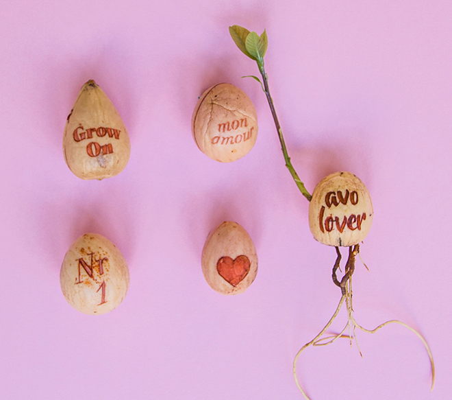 Different cute engraved avocado pits, by Botanopia