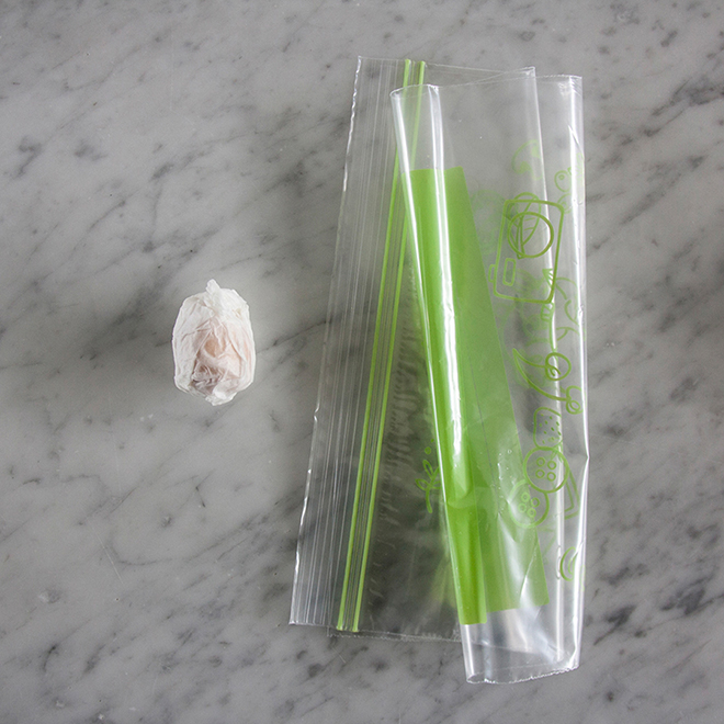 Wikkel de avocadopit in vochtig keukenpapier en doe hem in een hersluitbaar plastic zakje, door Botanopia