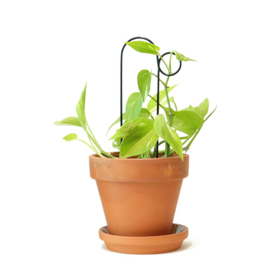 graphic Mini Plant Stakes - Black - Bump model