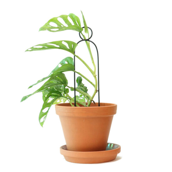 graphic Mini Plant Stakes - Black - Model Pompom