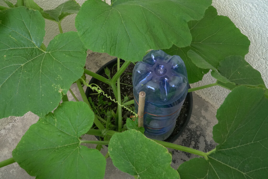 Automatisches System zur Pflanzenbewässerung mit einer Plastikflasche