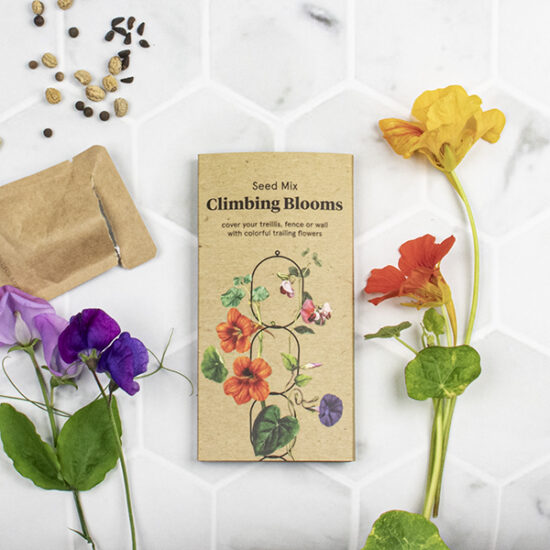 Seed mix for climbing blooms