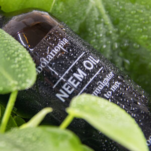 Botanopia Neemöl Glasflasche 100ml auf Pflanze mit Tropfen