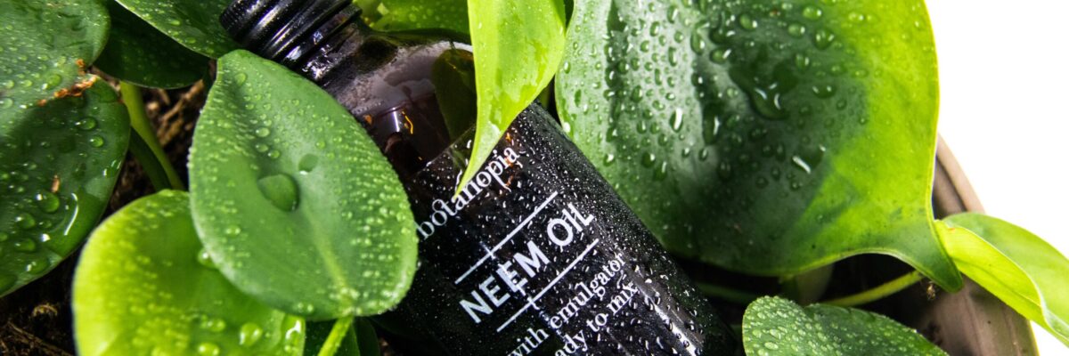 Neemolie in fles met plant van Botanopia