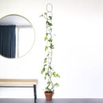 Botanopia black support chain ion white wall lifestyle picture