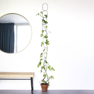 Botanopia black support chain ion white wall lifestyle picture