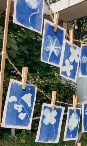 Botanopia Cyanotype prints outside in the sun hanging on rope