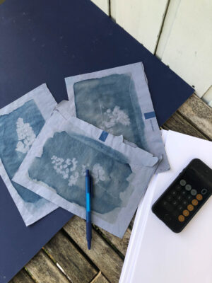 Botanopia Cyanotype afdrukken op blauwe enveloppen op werkruimte met telefoon en pen