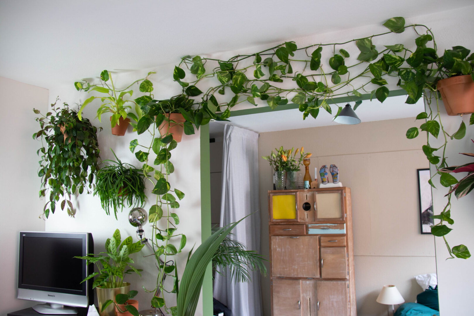 How to hang plants on your walls - 5 different methods to try in
