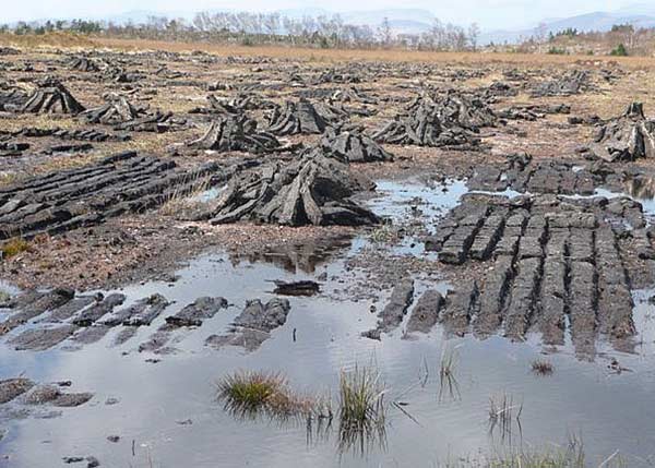 Torfgewinnung im Moor von Kerry