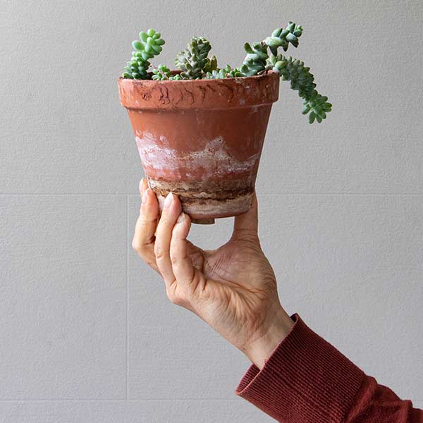 A hand holding a terracotta pot with calcium deposit