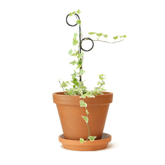 Mini plant stakes black by Botanopia