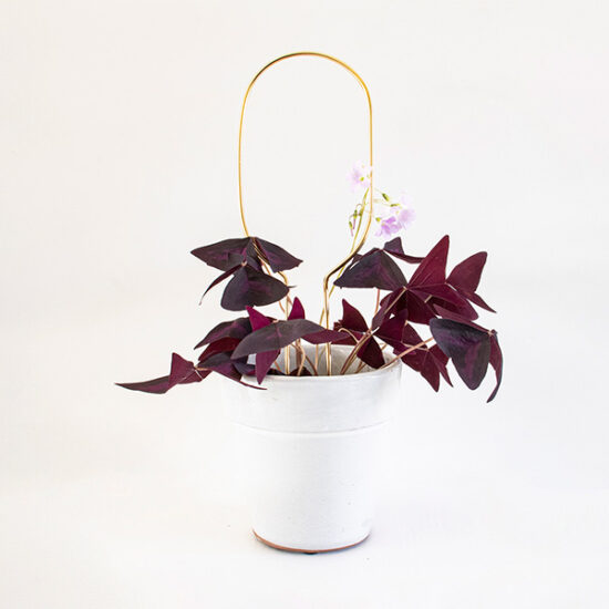 Mini plant stakes gold by Botanopia