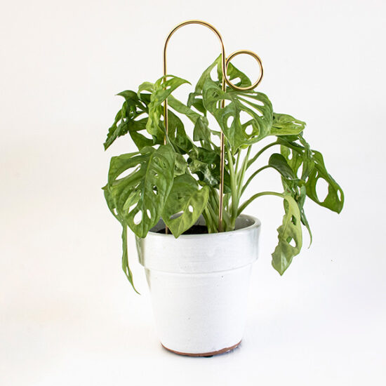 Mini plant stakes gold by Botanopia