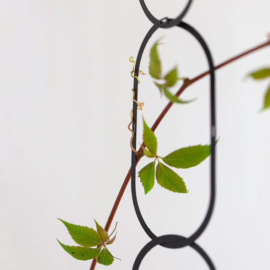 Black Brass Chain - Plant Support for climbing plants