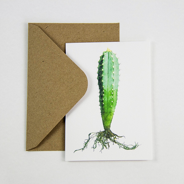 cactus kaarten met envelop pilosocereus bij Botanopia