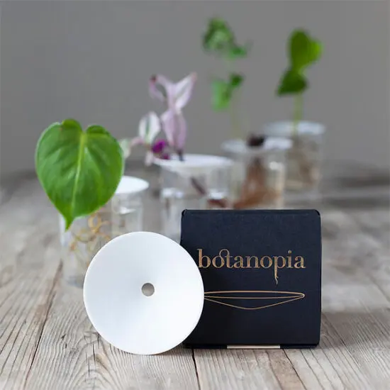 Botanopia Set per Cianotipia, 1 set - Bloomling Italia
