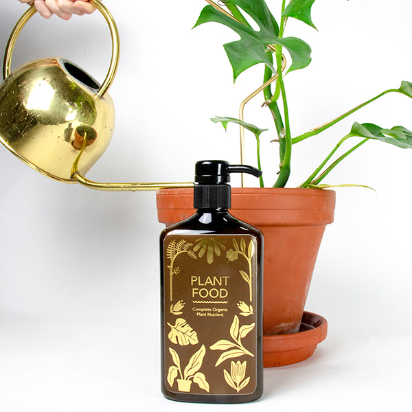 Liquid Gold Leaf - Feed & Care - Plant Shop - Urban Tropicana