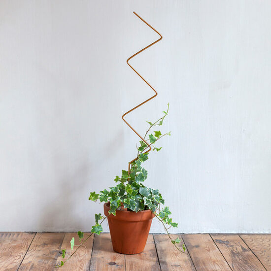 Set of 4 Golden Plant Stakes - 70cm