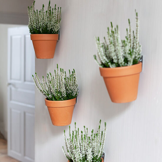 Clippy wall mounting kit for 5 plant pots by Botanopia