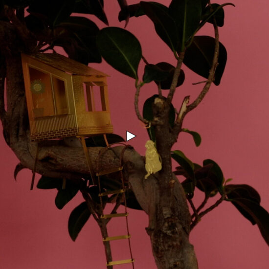 Video thumbnail tiny treehouse by botanopia