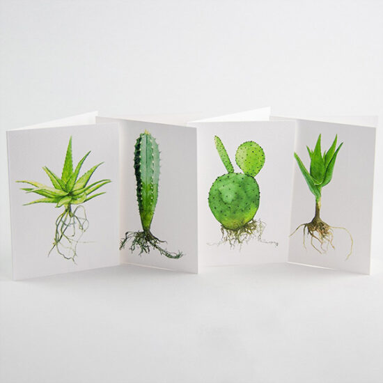 all 4 cactus cards by Botanopia