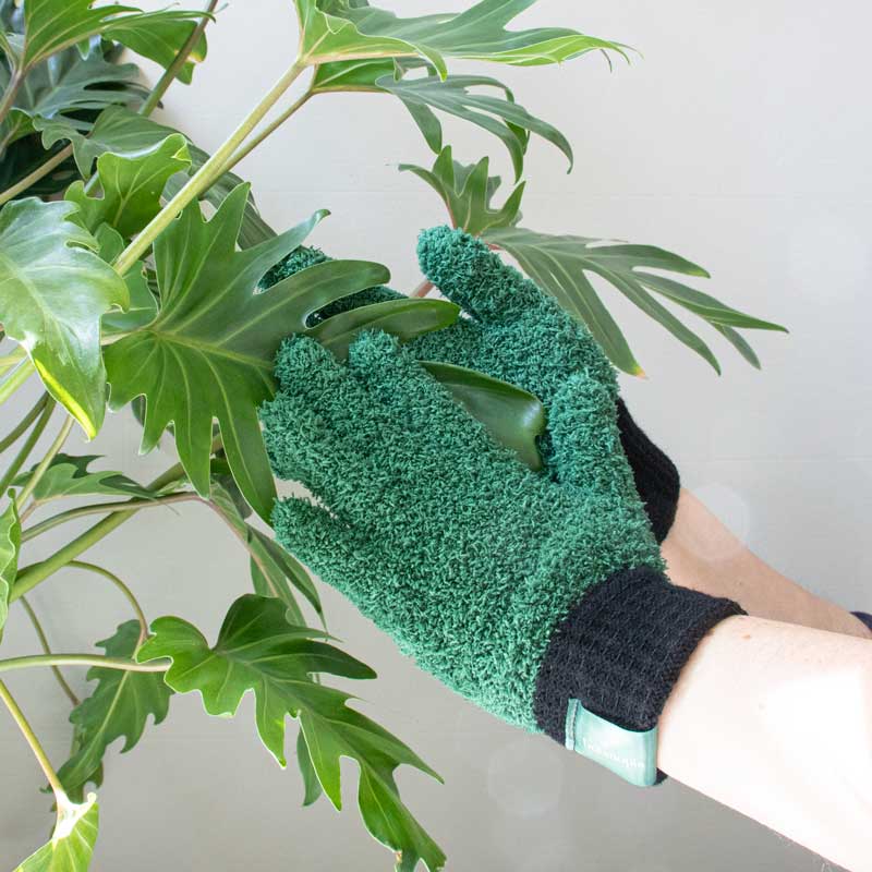 Microfiber Plant Dusting Gloves