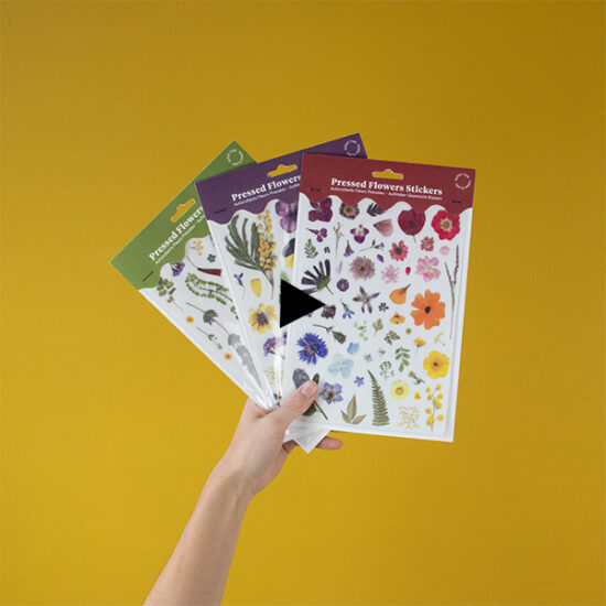 video Pressed flower stickers by Botanopia