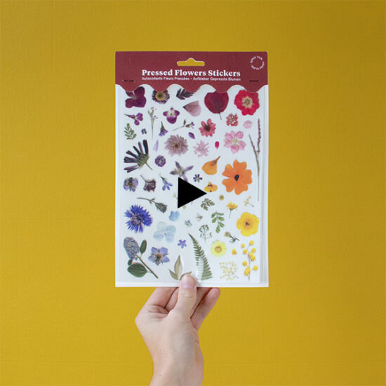 video Rainbow Gradient pressed flower stickers by Botanopia