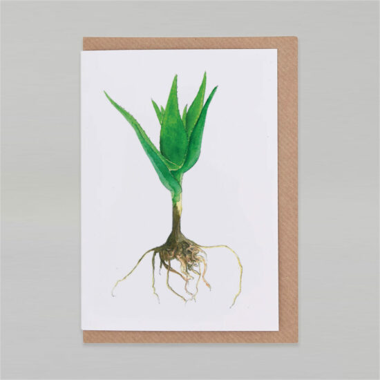 Cactus card Candelabra Aloe