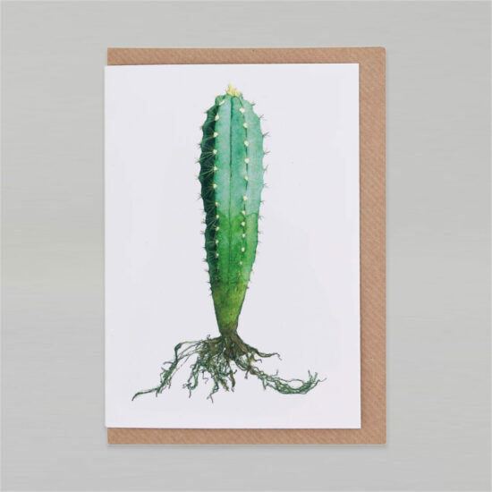 Cactus card Pilosocereus